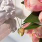 First Love Locket