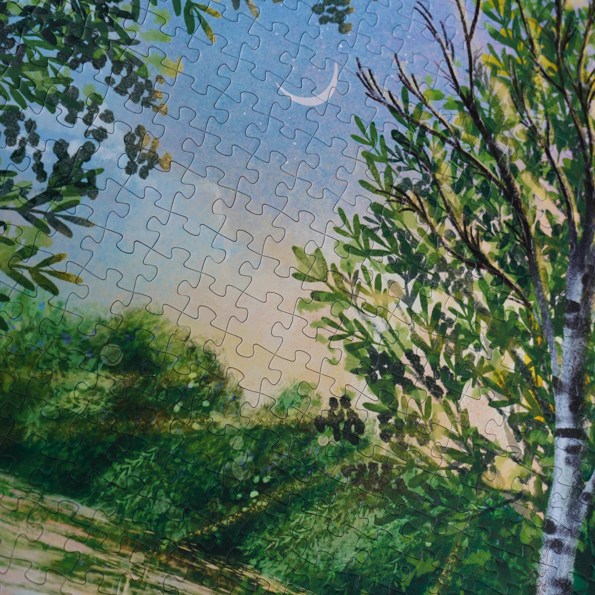 Through The Wild | WEVE Puzzle | 1000 Pieces