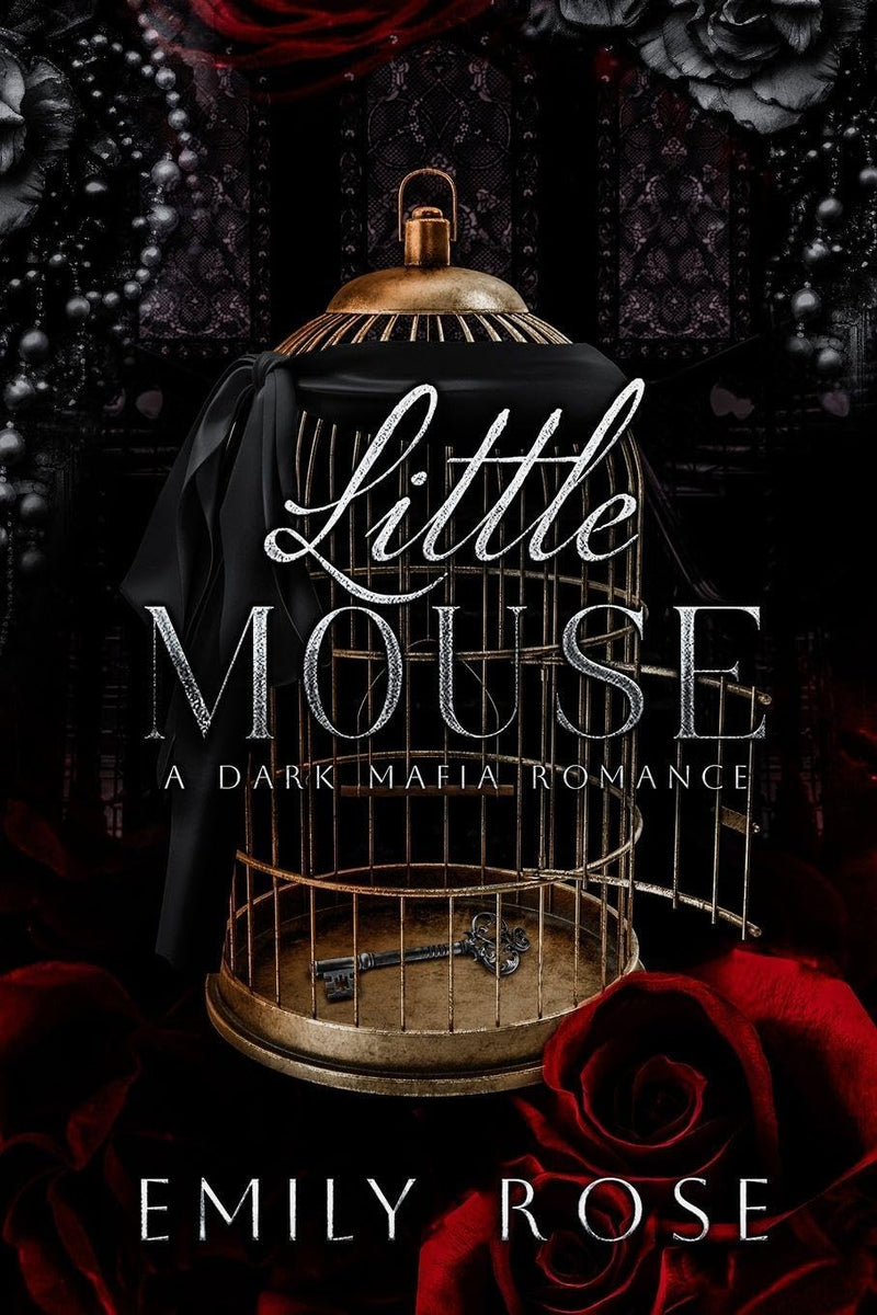 Little Mouse (Paperback)