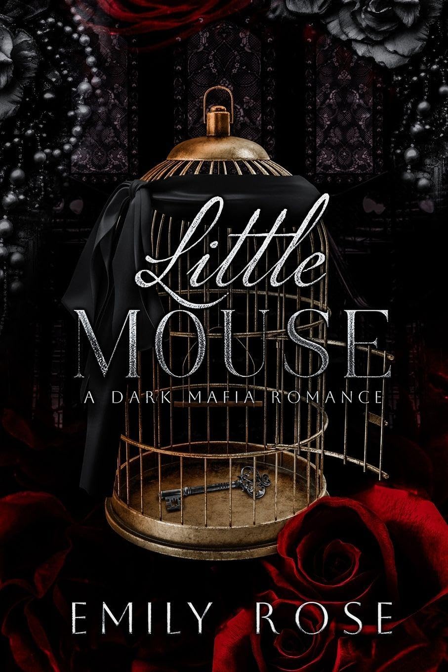 Little Mouse (Paperback)