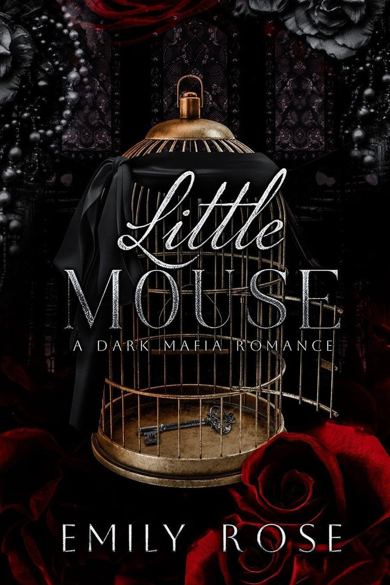 Little Mouse (Paperback)