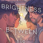 The Brightness Between Us