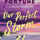 Our Perfect Storm