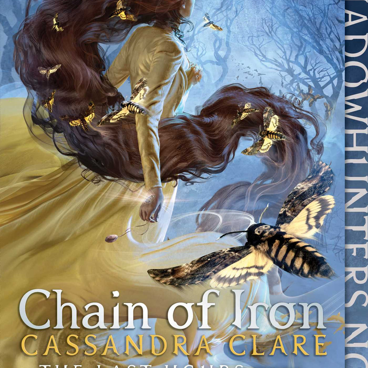 Chain of Iron