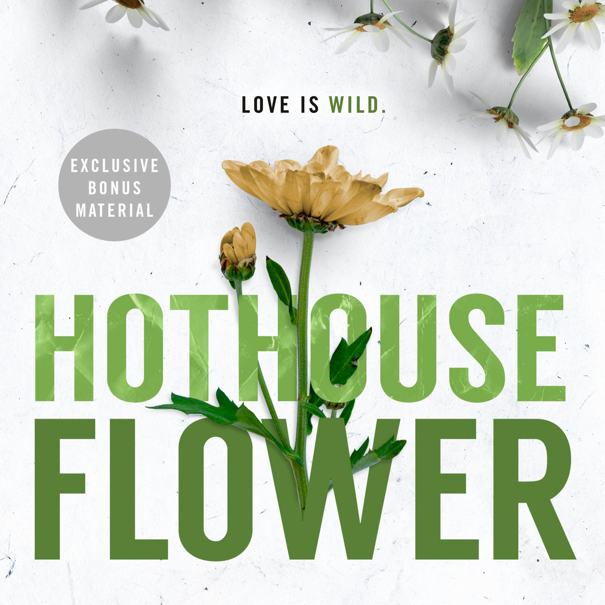 Hothouse Flower