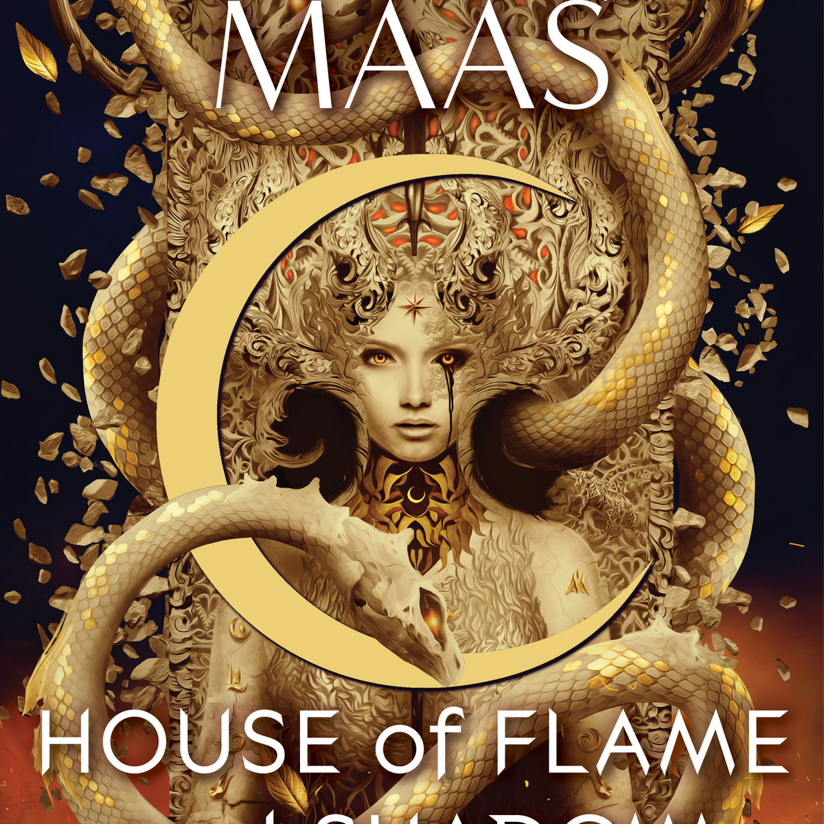 House of Flame and Shadow (Hardcover)