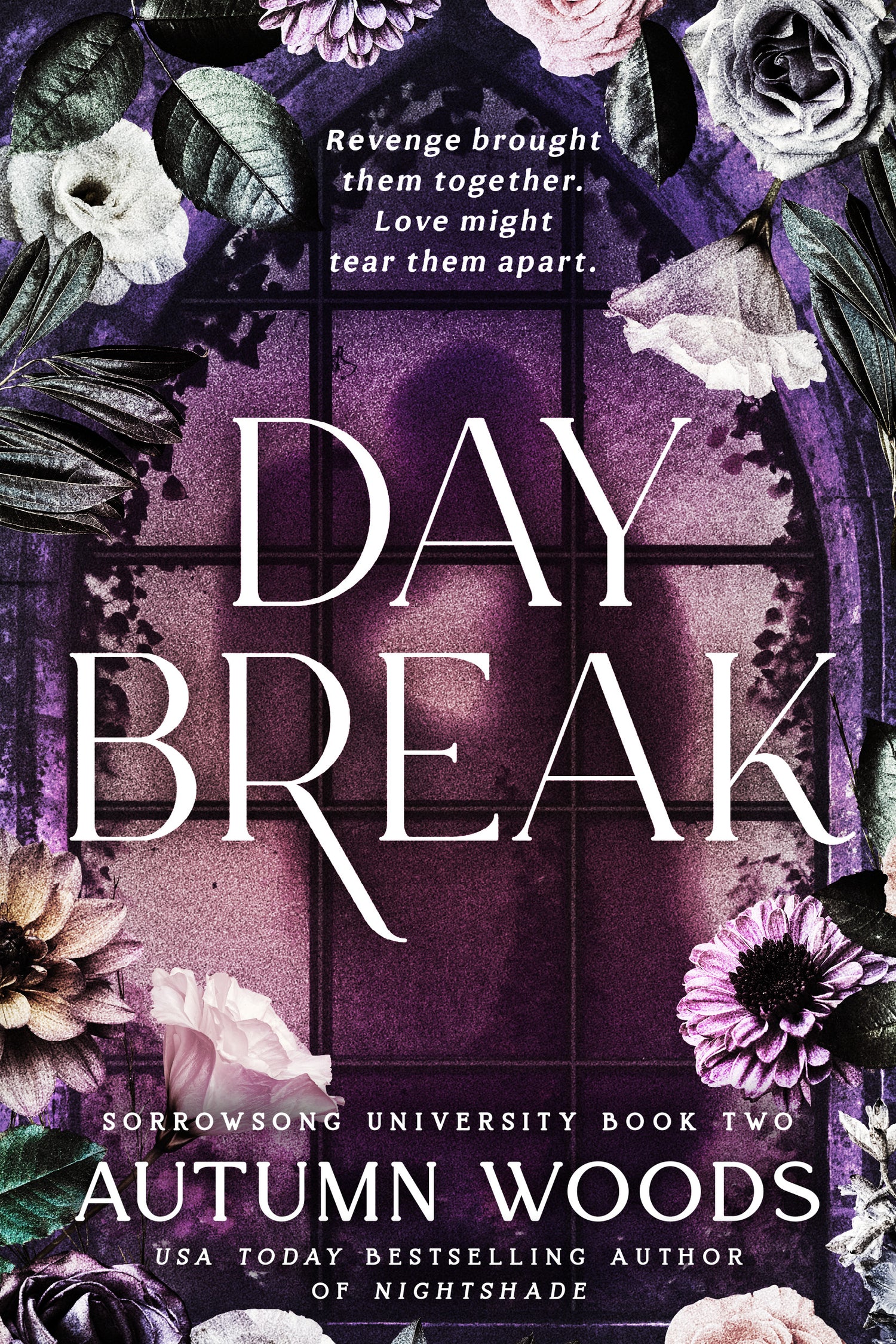 Daybreak (BOOKPLATE + Art)