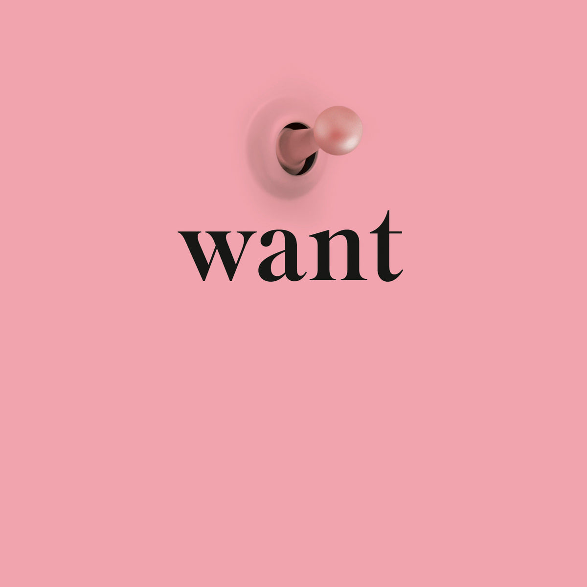 Want - Hopeless Romantic