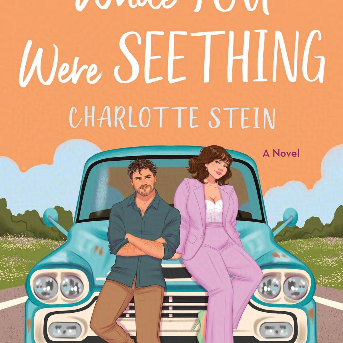 While You Were Seething