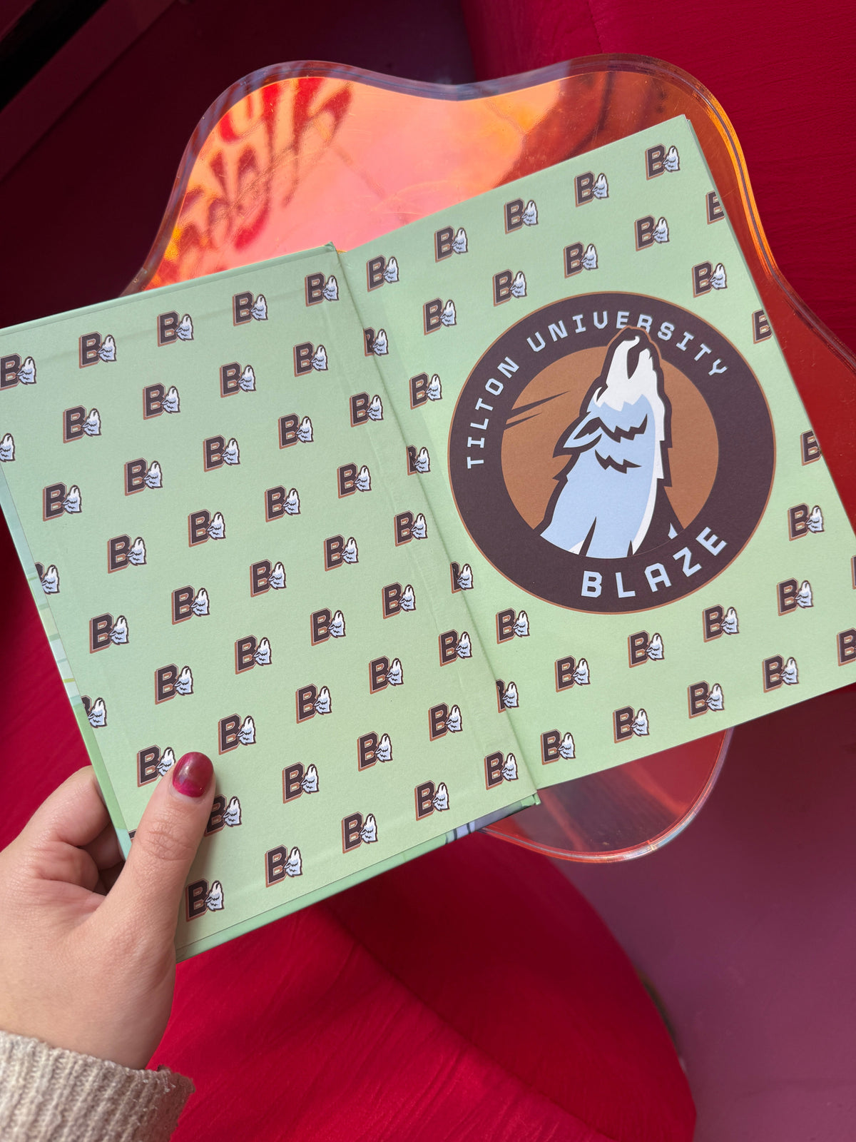 Chase Lovett Wants Me (Signed) (Deluxe Edition) + goodie pack - Hopeless Romantic