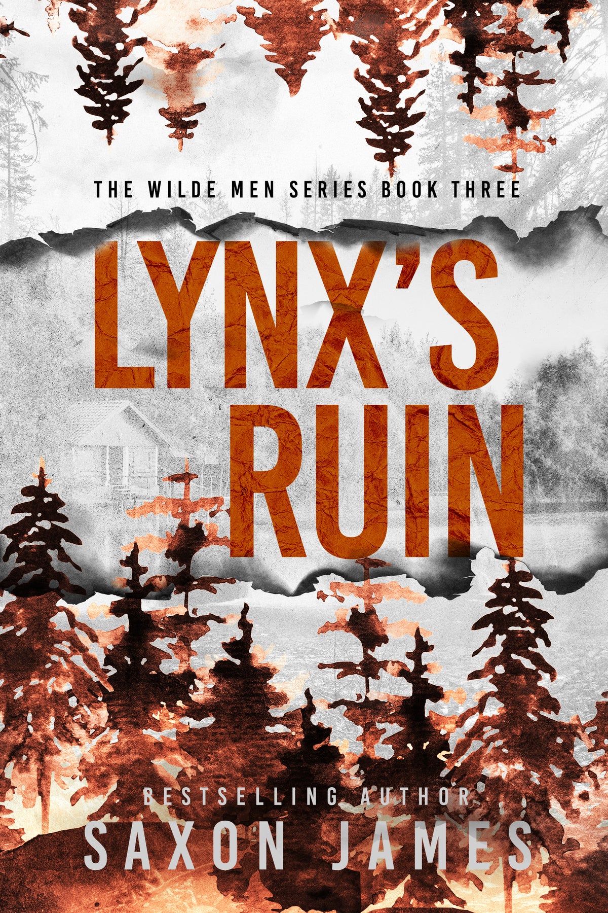 Lynx's Ruin (Pre-Order Campaign)