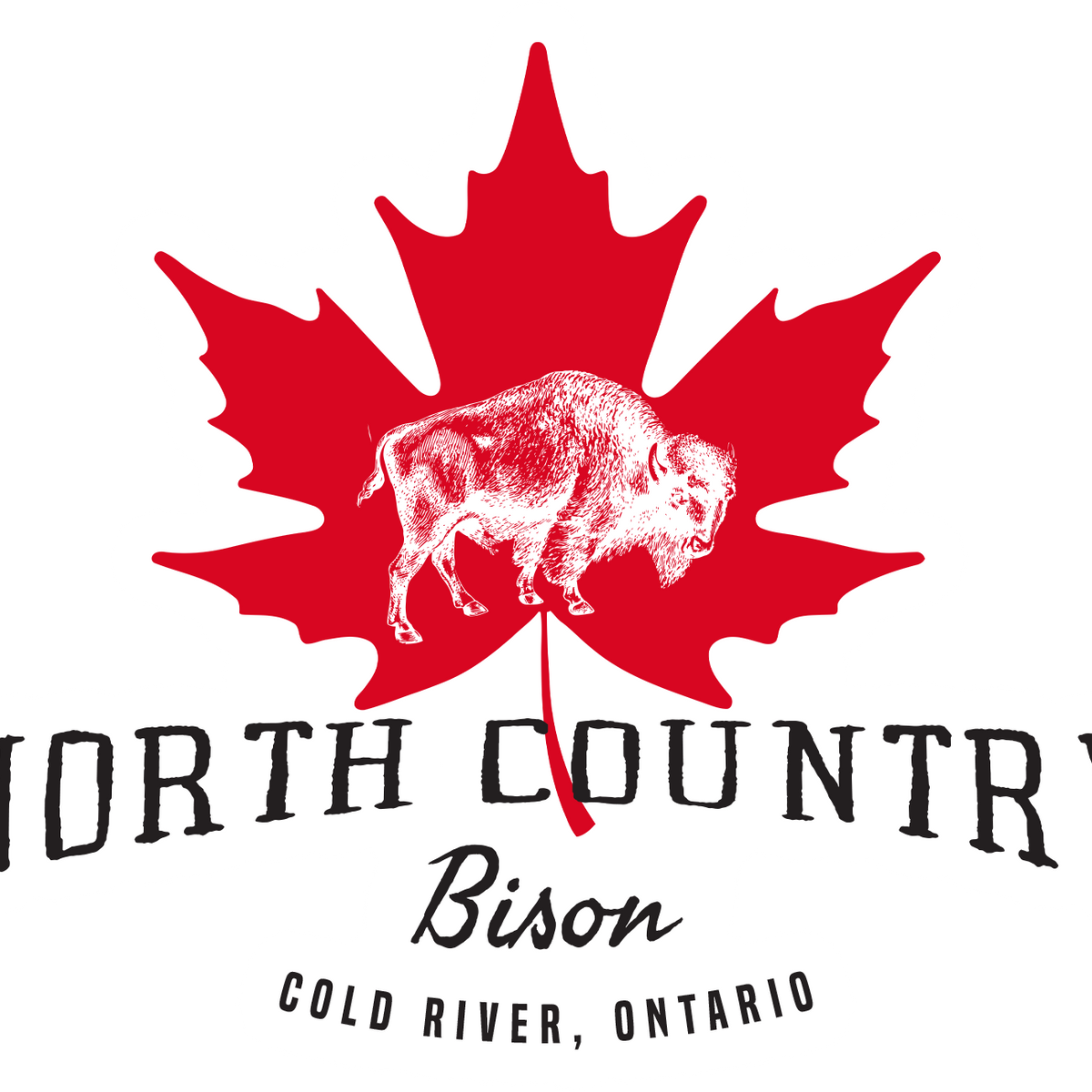 North Country (Signed Bookplate + goodies) [PRE-ORDER: June 16, 2026]