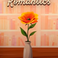 Hopeful Romantics