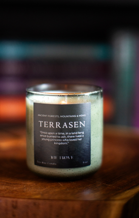 9 OZ CANDLE: TOG - Terrasen