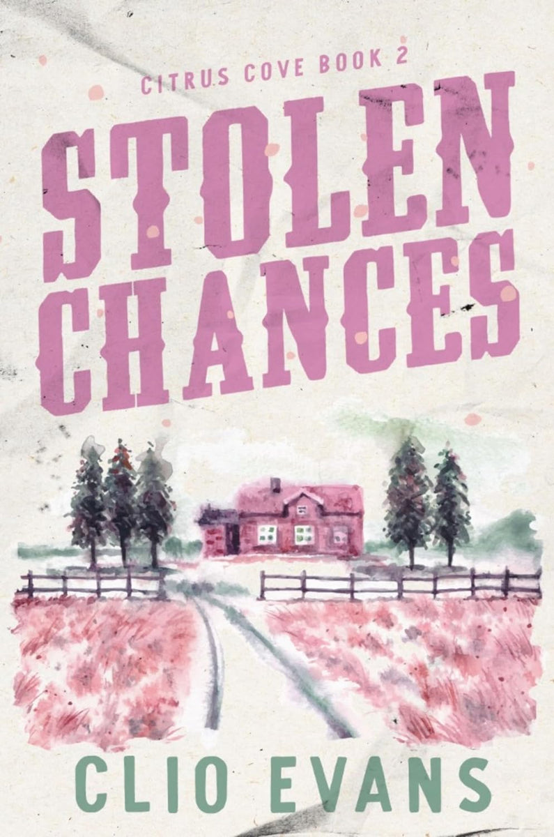 Stolen Chances