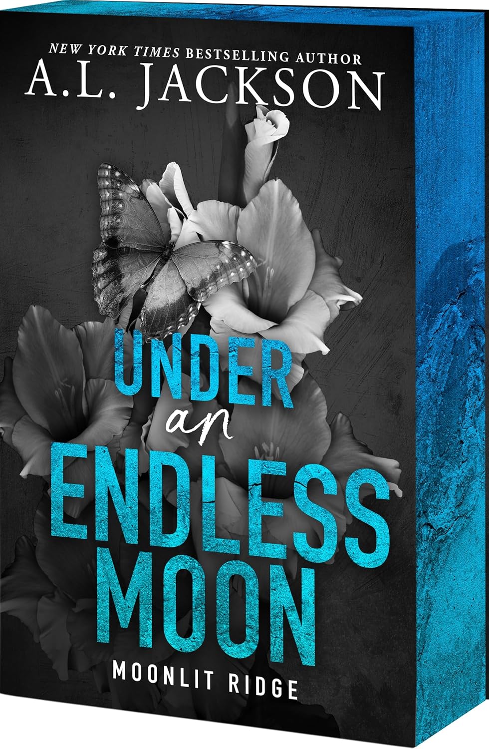 Under an Endless Moon (Deluxe Edition)