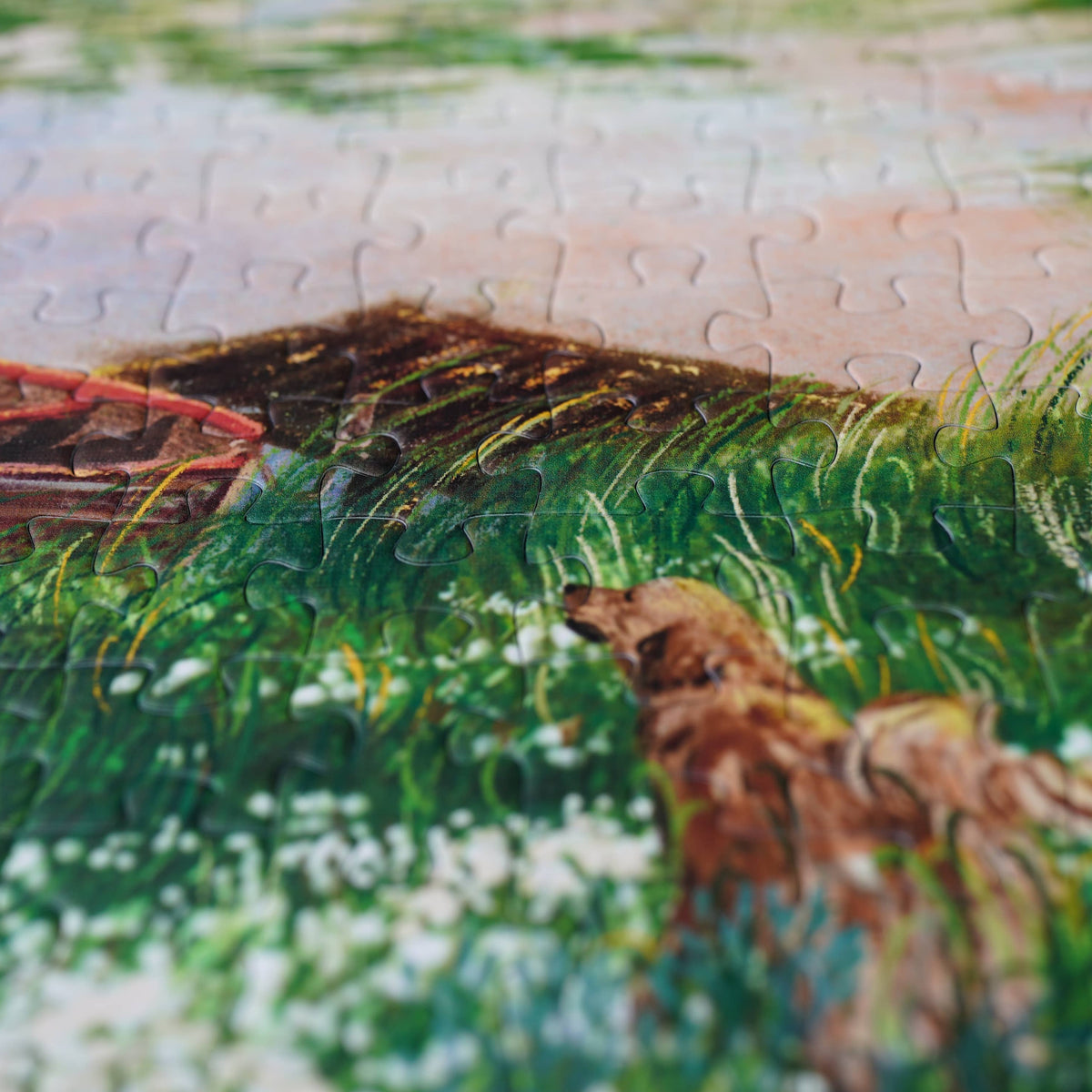 Through The Wild | WEVE Puzzle | 1000 Pieces