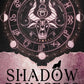 Zodiac Academy: Shadow Princess
